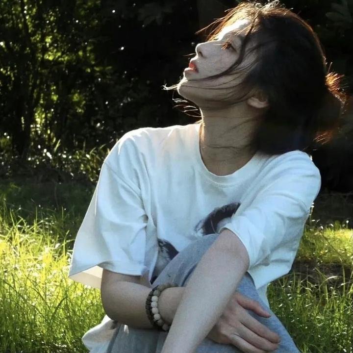 玫瑰骑士